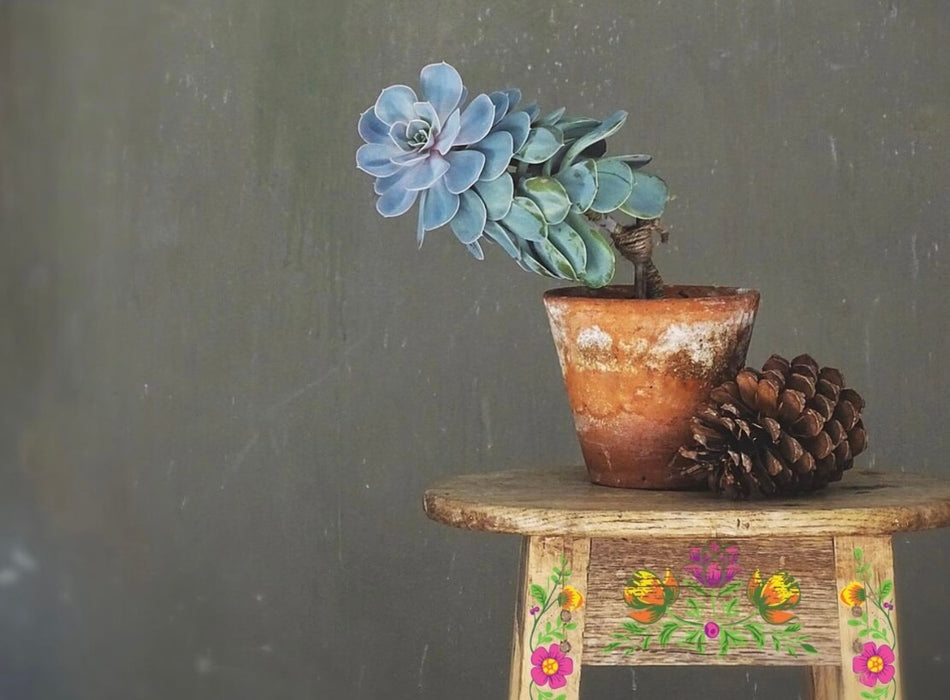 IOD Decor Paint Inlay Vida Flora designed by Debi Beard als Limited Edition erhältlich bei Countryside Colours