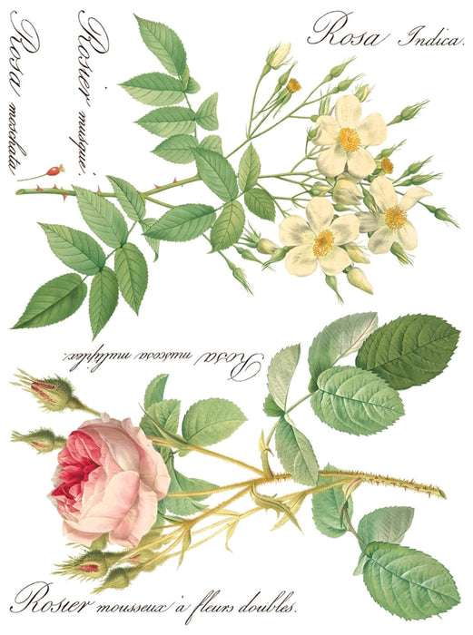 IOD Decor Transferfolie Rose Botanical erhältlich bei Countryside Colours