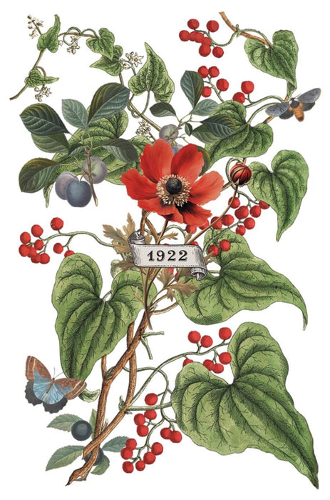 IOD Transfer Clementine Limited Edition aus der neuen Weihnachtskollektion 2025 erhältlich bei Countryside Colours