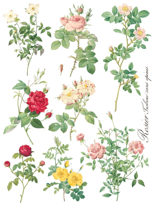 IOD Decor Transferfolie Rose Botanical erhältlich bei Countryside Colours