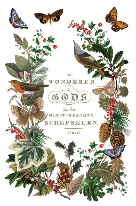 IOD Mould Winter Botanist Limited Edition aus der neuen Weihnachtskollektion 2025 erhältlich bei Countryside Colours