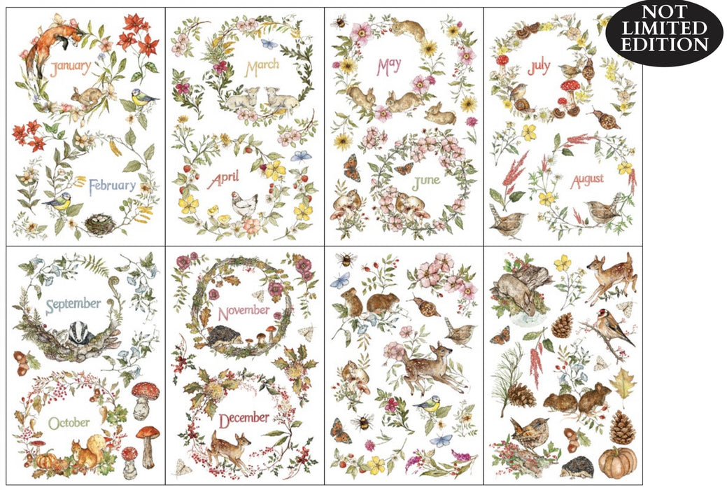 IOD Transfer The Bramblewood Diaries 8x12 Pad | Winterkollektion 2026