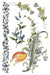 IOD Decor Transferfolie Fairytale Florals erhältlich bei Countryside Colours