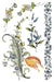 IOD Decor Transferfolie Fairytale Florals erhältlich bei Countryside Colours