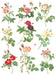 IOD Decor Transferfolie Rose Botanical erhältlich bei Countryside Colours 