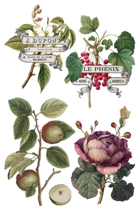 IOD Transfer Clementine Limited Edition aus der neuen Weihnachtskollektion 2025 erhältlich bei Countryside Colours