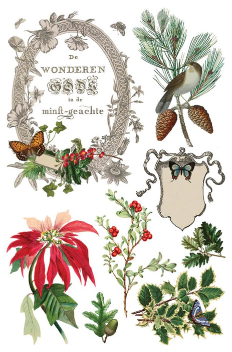 IOD Mould Winter Botanist Limited Edition aus der neuen Weihnachtskollektion 2025 erhältlich bei Countryside Colours