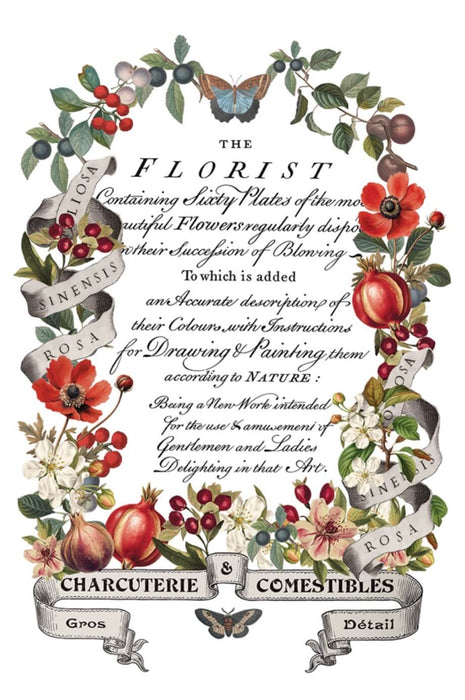 IOD Transfer Clementine Limited Edition aus der neuen Weihnachtskollektion 2025 erhältlich bei Countryside Colours