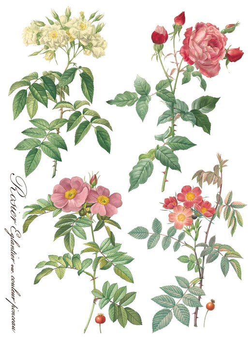 IOD Decor Transferfolie Rose Botanical erhältlich bei Countryside Colours