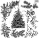 IOD Stempel Holly & Pine Limited Edition aus der neuen Weihnachtskollektion 2025 erhältlich bei Countryside Colours