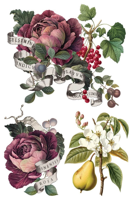 IOD Transfer Clementine Limited Edition aus der neuen Weihnachtskollektion 2025 erhältlich bei Countryside Colours