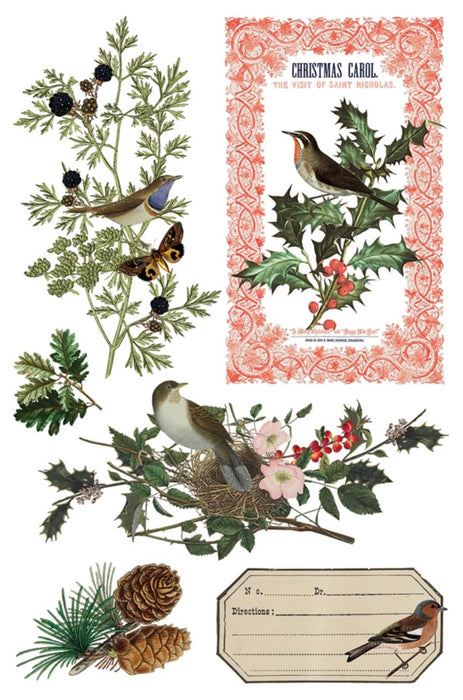 IOD Mould Winter Botanist Limited Edition aus der neuen Weihnachtskollektion 2025 erhältlich bei Countryside Colours