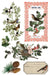 IOD Mould Winter Botanist Limited Edition aus der neuen Weihnachtskollektion 2025 erhältlich bei Countryside Colours