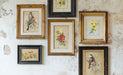 IOD Decor Transfer Catharina erhältlich bei Countryside Colours