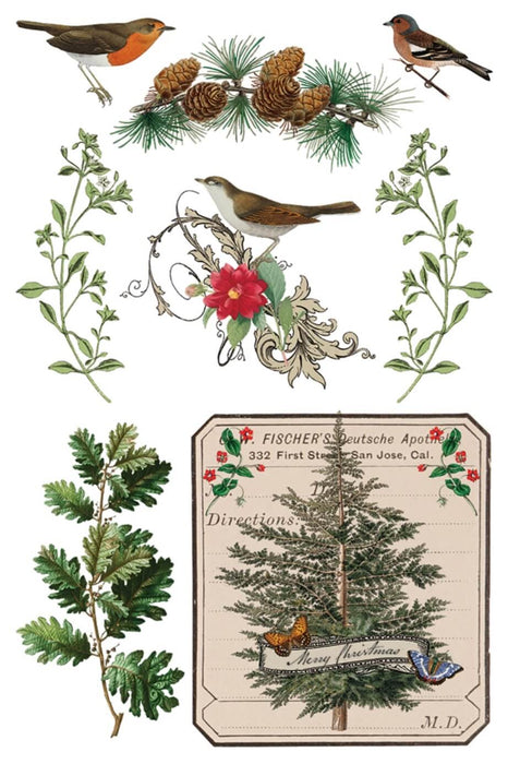 IOD Mould Winter Botanist Limited Edition aus der neuen Weihnachtskollektion 2025 erhältlich bei Countryside Colours