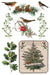 IOD Mould Winter Botanist Limited Edition aus der neuen Weihnachtskollektion 2025 erhältlich bei Countryside Colours