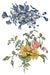 IOD Decor Transferfolie Fairytale Florals erhältlich bei Countryside Colours