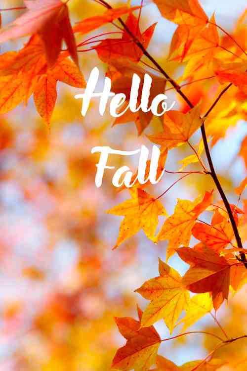 Hello Fall in der Countryside