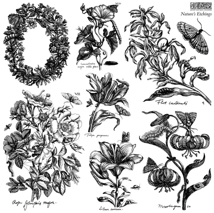 IOD Decor Stempel Nature‘s Etchings | Sommerkollektion 2026 |
