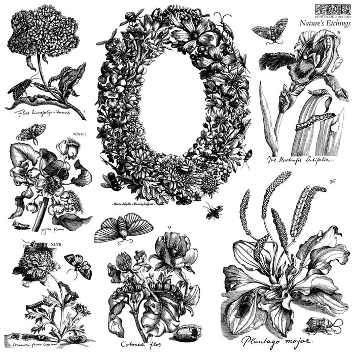 IOD Decor Stempel Nature‘s Etchings | Sommerkollektion 2026 |