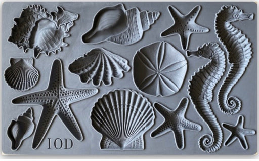 IOD Mould Sea Shells - Countrysidecolours