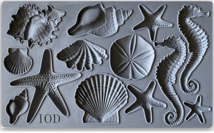 IOD Mould Sea Shells - Countrysidecolours