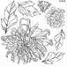 IOD Decor Stempel Chrysanthemums