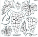IOD Decor Stempel Grapes