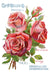 IOD Decor Transfer Ephemeral Melange Seite mit roten Rosen erhältlich bei Countryside Colours
