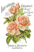 IOD Decor Transfer Ephemeral Melange Seite mit rosa Rosen erhältlich bei Countryside Colours