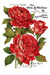 IOD Decor Transfer Ephemeral Melange Seite mit roten Rosen erhältlich bei Countryside Colours