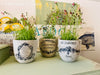 IOD Decor Transfer Traditional Pots erhältlich bei Countryside Colours hier auf Zementübertöpfen