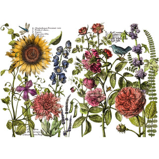 IOD Decor Transferfolie Botanist`s Journal Motivübersicht erhältlich bei Countryside Colours