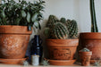 IOD Decor Transfer Traditional Pots erhältlich bei Countryside Colours hier auf Terrakottatöpfen